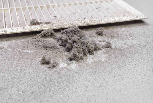 Best Air Duct Mold Removal  in Combes, TX